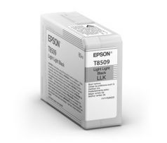 kazeta EPSON SC-P800 Light Light Black 80ml (C13T850900)