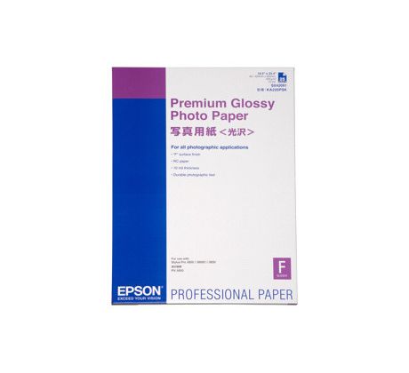 Premium Glossy Photo Paper, DIN A2, 255g/m?, 25 Sheet (C13S042091)