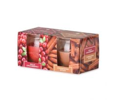 Emocio Sklo 65x63 mm 2 ks v krabičke Wild Cranberry & Cinnamon Stick, vonná sviečka