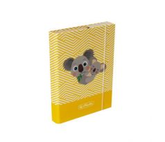 Box na zošity A4 s gumičkou Cute Animals Koala